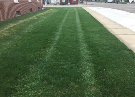 Find a Garage Builder near me